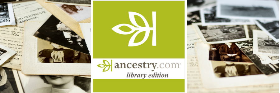 Ancestry Banner.png